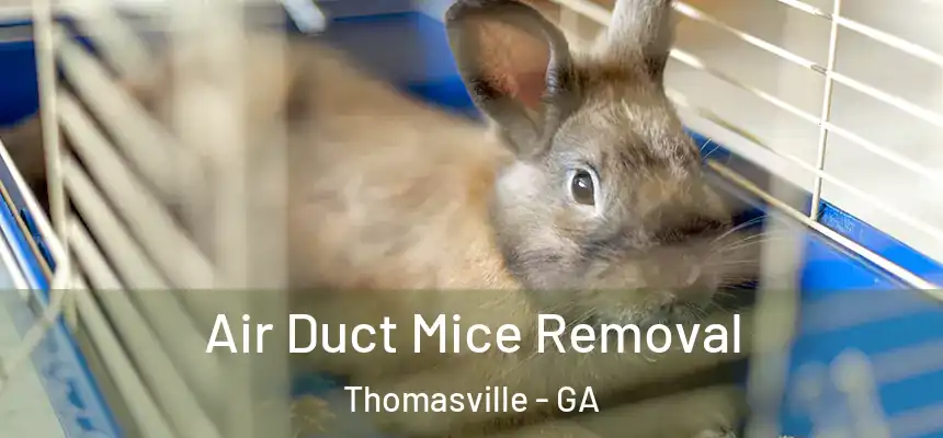 Air Duct Mice Removal Thomasville - GA