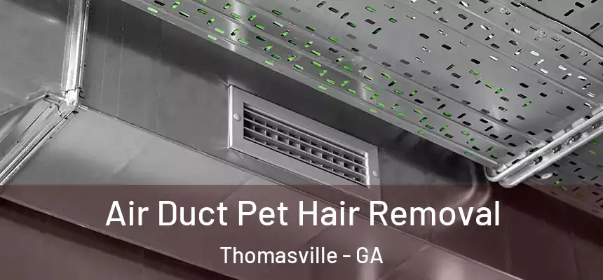  Air Duct Pet Hair Removal Thomasville - GA