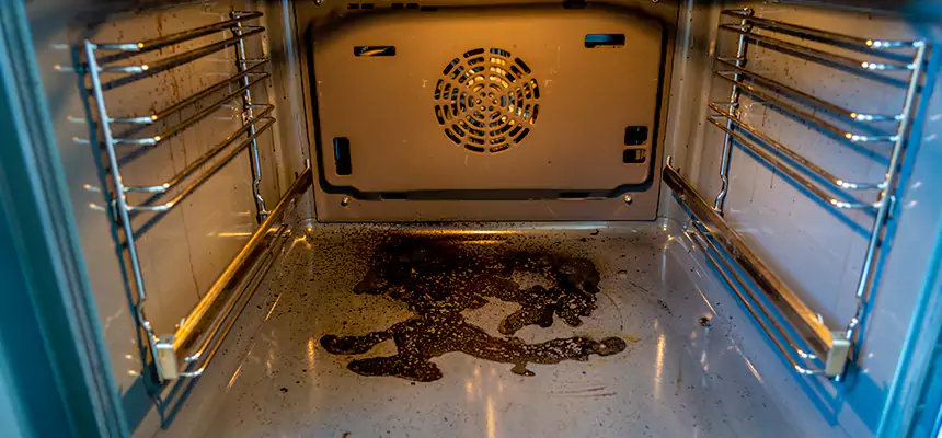 Our Dryer Vent Mold Cleaning Services in Thomasville, GA