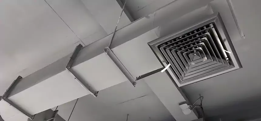 Our Pest Removal From Ducts Services in Thomasville, GA