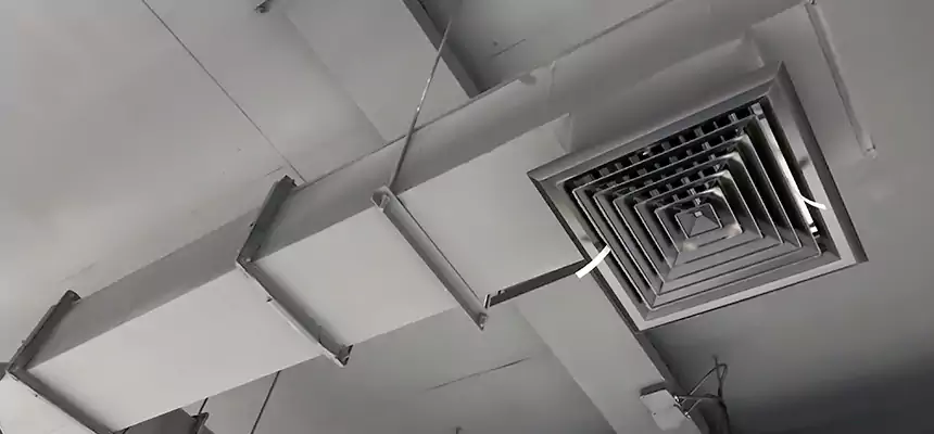 Our Rodent Droppings In Vents Services in Thomasville, GA