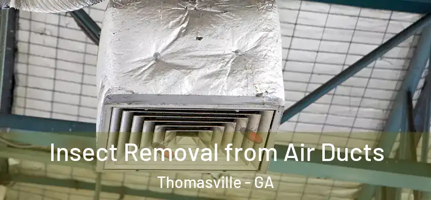  Insect Removal from Air Ducts Thomasville - GA