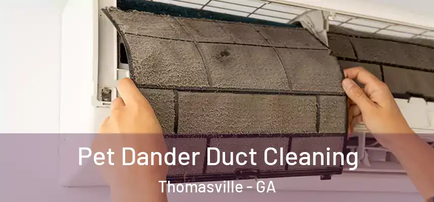 Pet Dander Duct Cleaning Thomasville - GA