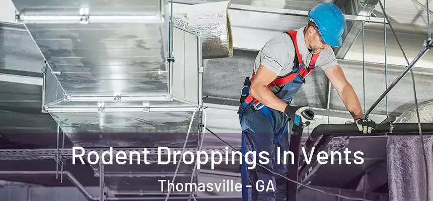  Rodent Droppings In Vents Thomasville - GA