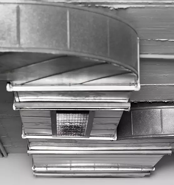 Professional Air Duct Pet Hair Removal in Thomasville, GA