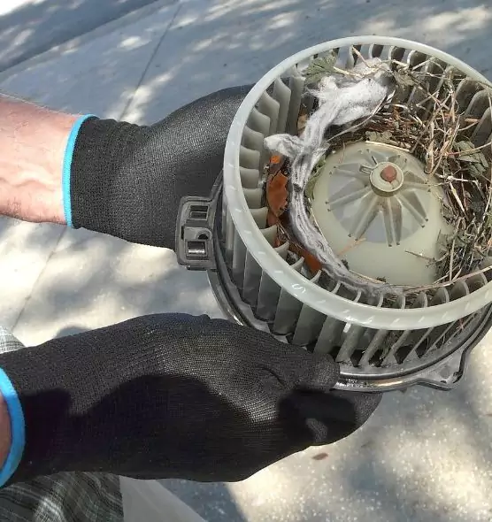 About Air Duct Rat Removal in Thomasville, GA