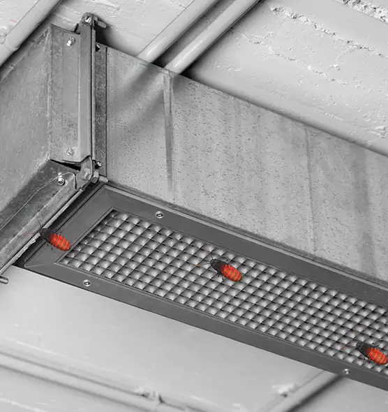 Affordable Insect Removal from Air Ducts in Thomasville, GA