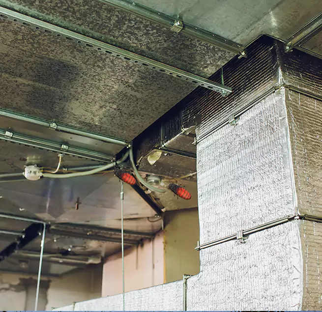 Why Homeowners & Businesses Trust Us in Thomasville, GA?