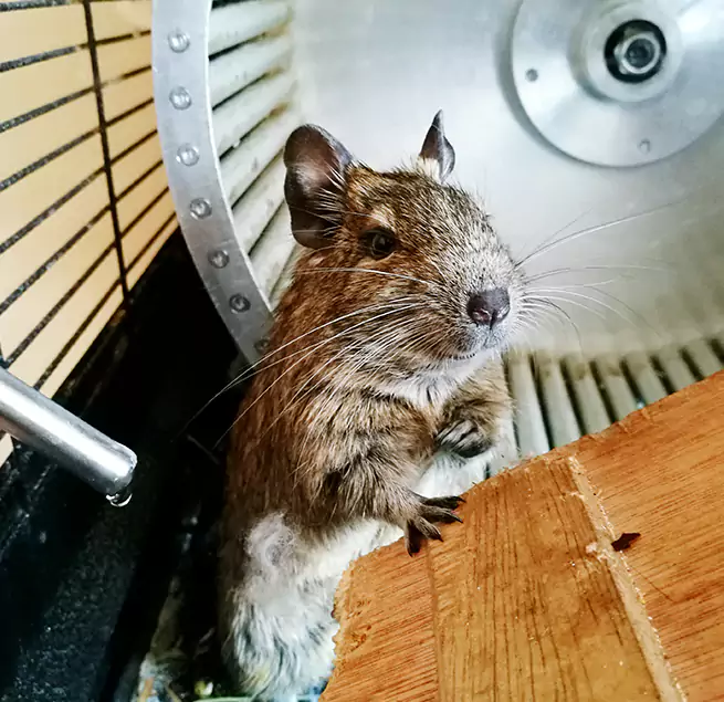 Why Homeowners & Businesses Trust Us Thomasville, GA